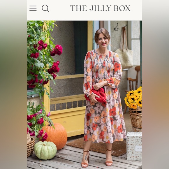 NWT Mad About Style: The Grace Midi Dress in Birch Dot for the Jilly Box - Picture 4 of 4